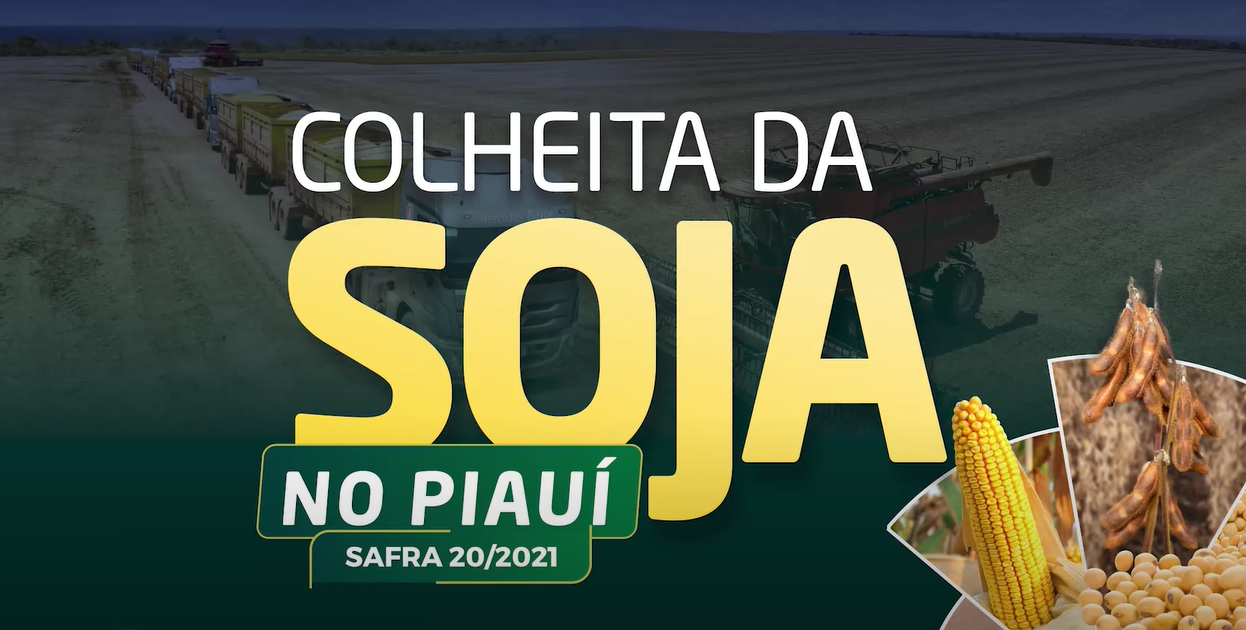 Abertura da Colheita de Soja no Piauí Risa S/A
