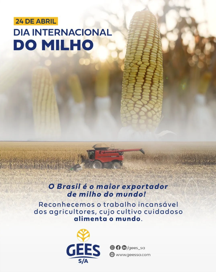 DIA INTERNACIONAL DO MILHO!