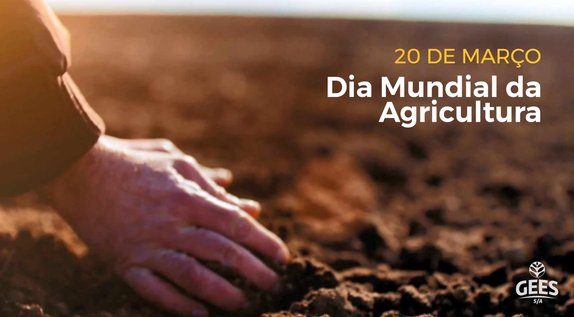 Dia Mundial da Agricultura – GEES S/A
