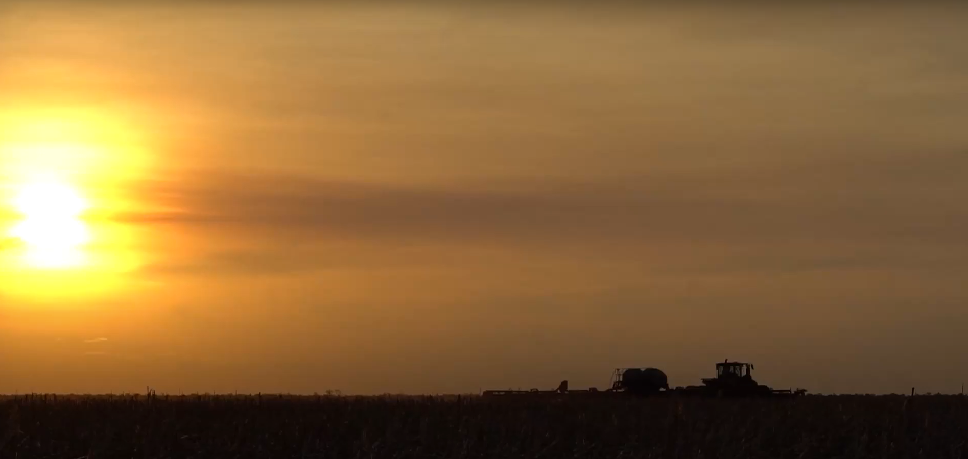 Risa S/A 40 anos desenvolvendo agricultura no cerrado brasileiro