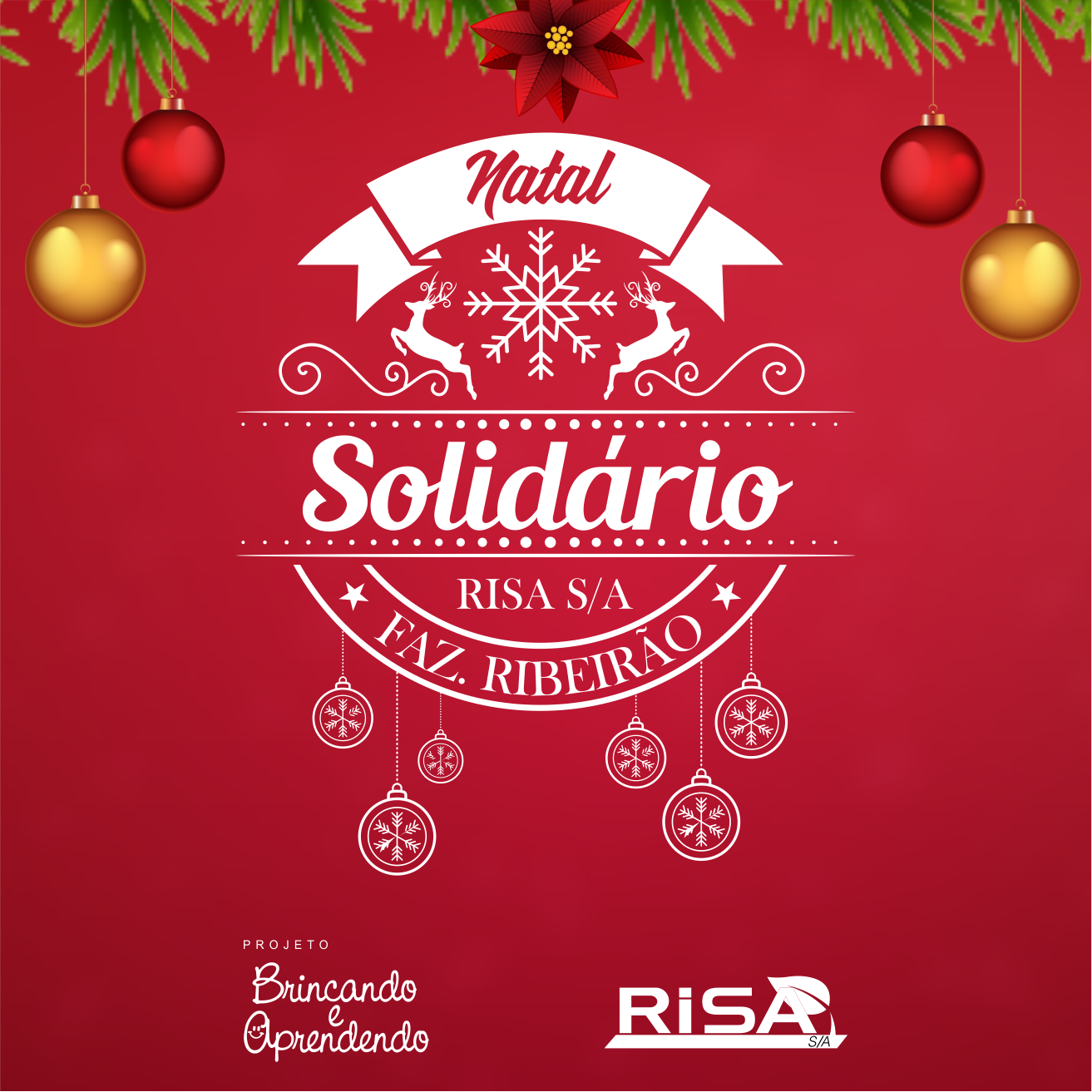 Risa S/A  promove ação social “Natal Solidário” na Comunidade do Povoado Bacabal, Baixa Grande do Ribeiro – Faz. Ribeirão.